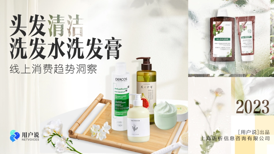 精华版2023年线上【头发清洁：洗发水洗发膏】消费趋势洞察-30页-WN6.pdf_第1页