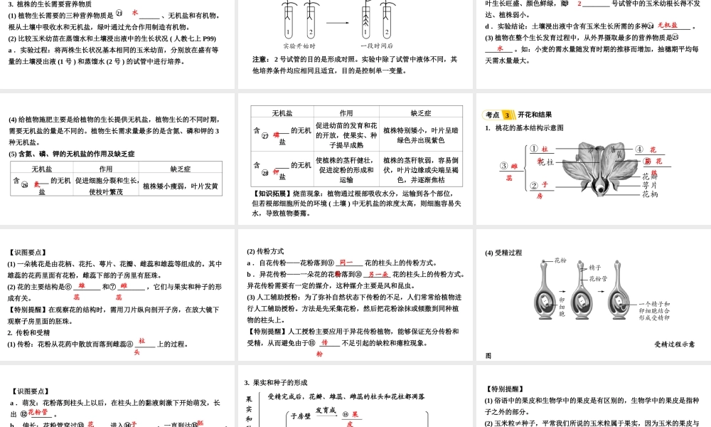 第2讲被子植物的一生.ppt
