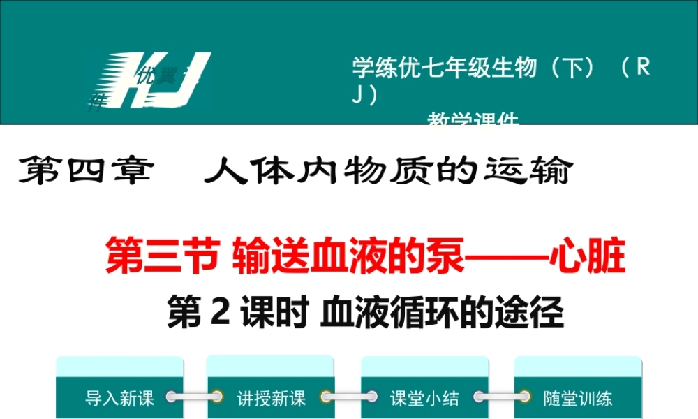 第2课时 血液循环的途径.ppt