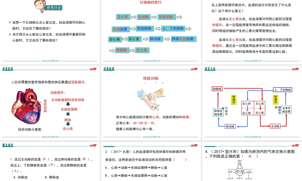 第2课时 血液循环的途径.ppt
