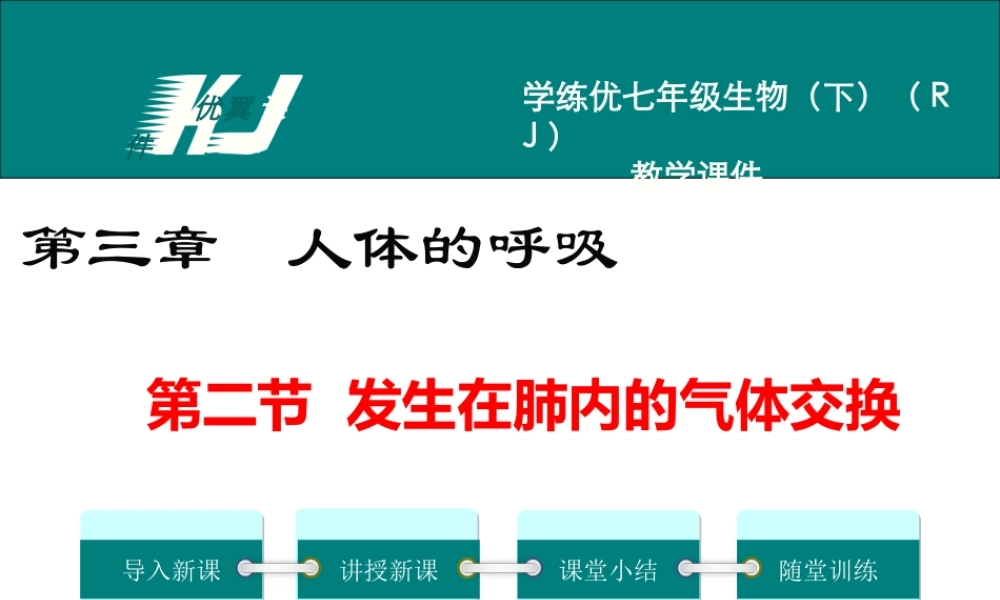 第二节 发生在肺内的气体交换.ppt