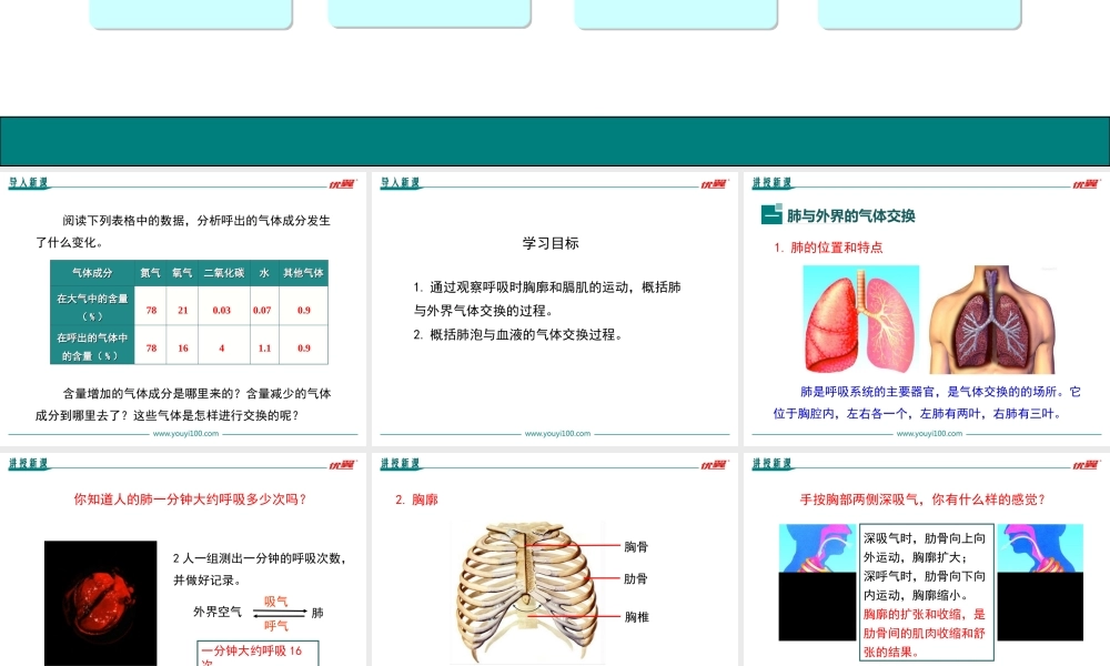 第二节 发生在肺内的气体交换.ppt