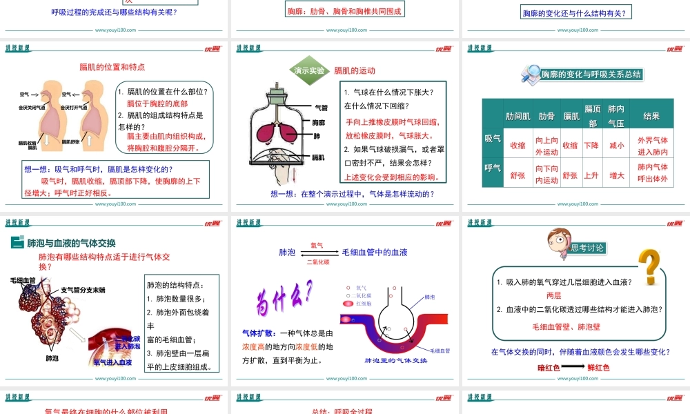 第二节 发生在肺内的气体交换.ppt