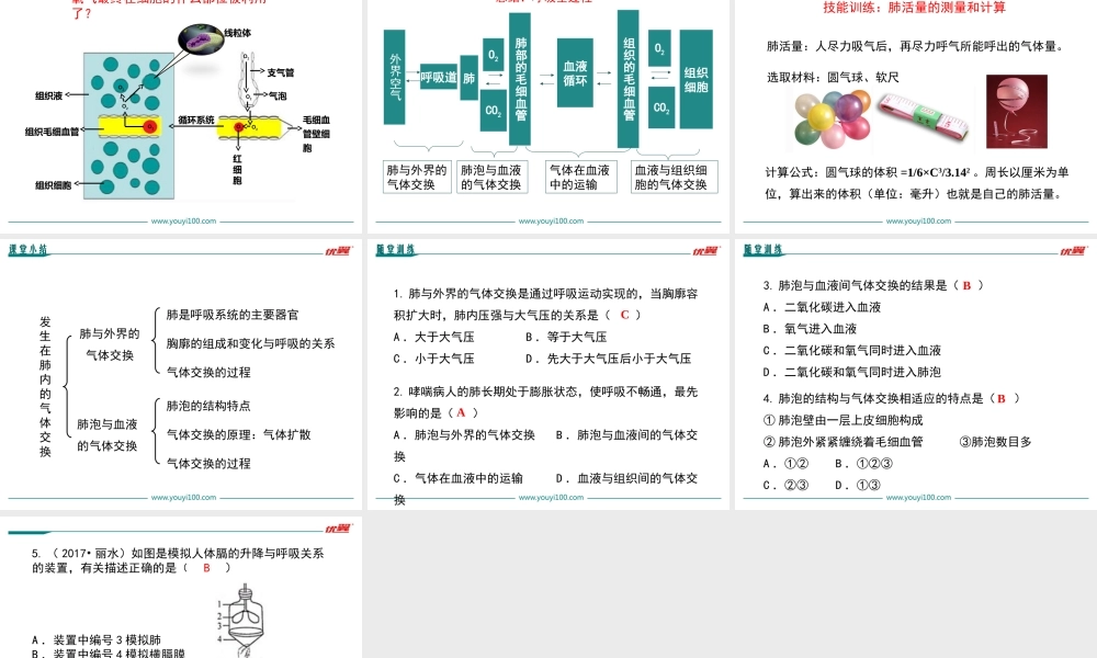 第二节 发生在肺内的气体交换.ppt
