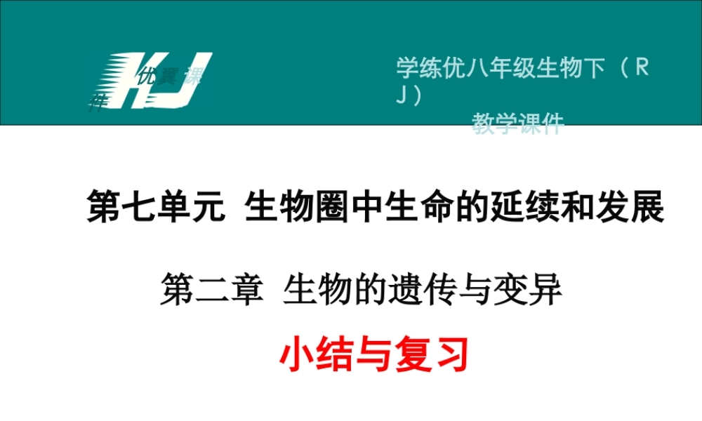 第二章 小结与复习.ppt