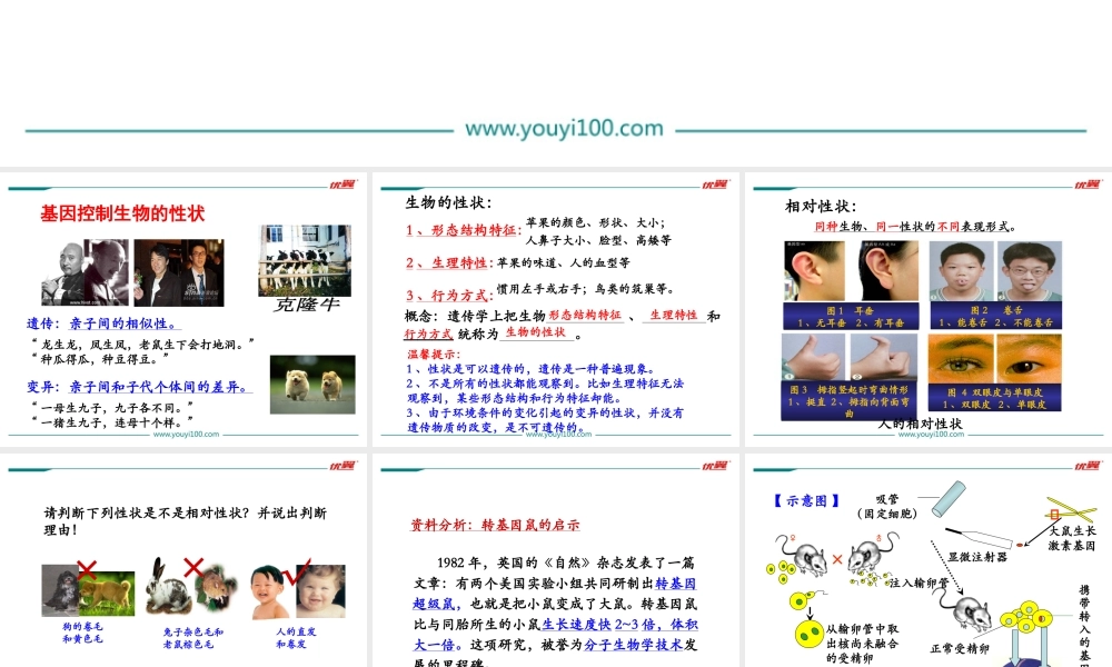 第二章 小结与复习.ppt