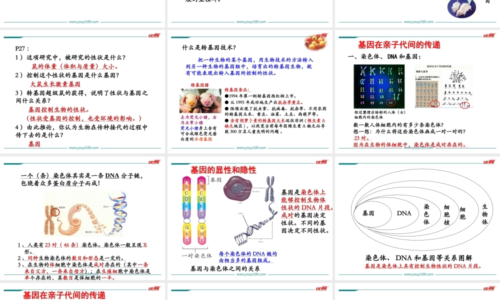 第二章 小结与复习.ppt