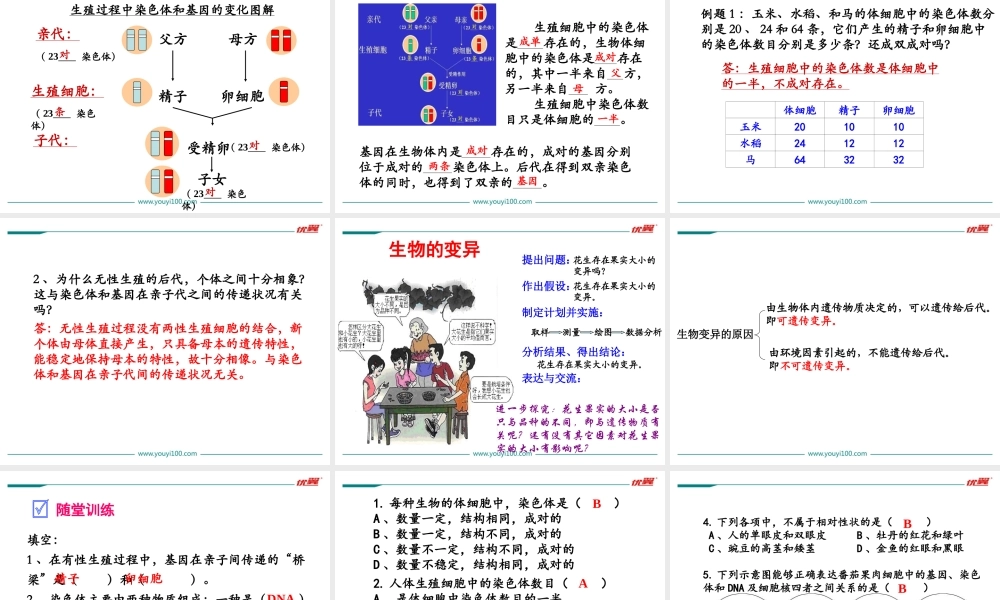 第二章 小结与复习.ppt