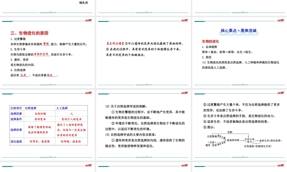 第三章 小结与复习.ppt