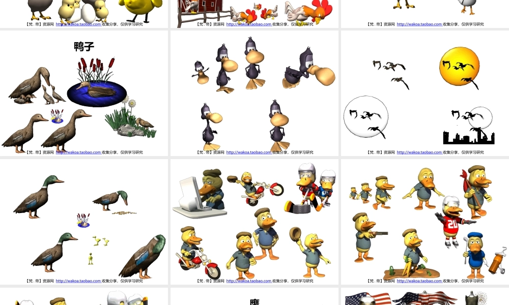 立体GIF大全04动家禽与飞鸟.pptx