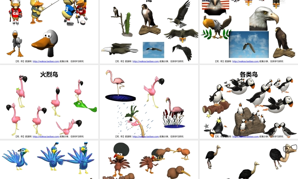 立体GIF大全04动家禽与飞鸟.pptx