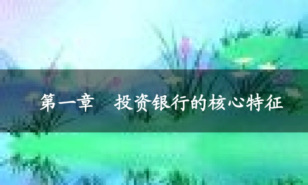 第一章 投资银行的核心特征.ppt