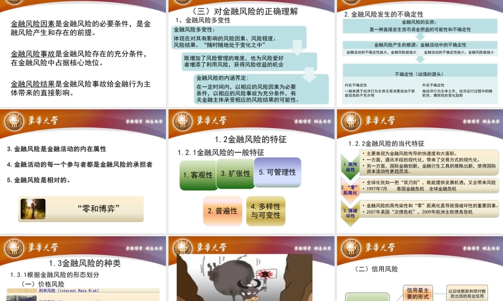 第一章金融风险基本理论.ppt