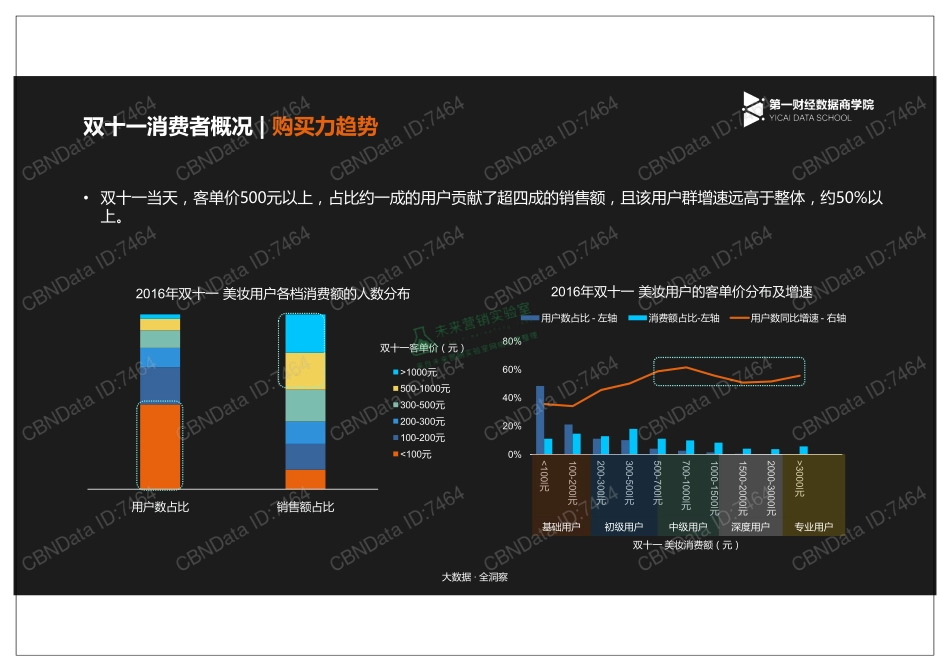 美妆行业双十一消费人群洞察.pdf_第2页
