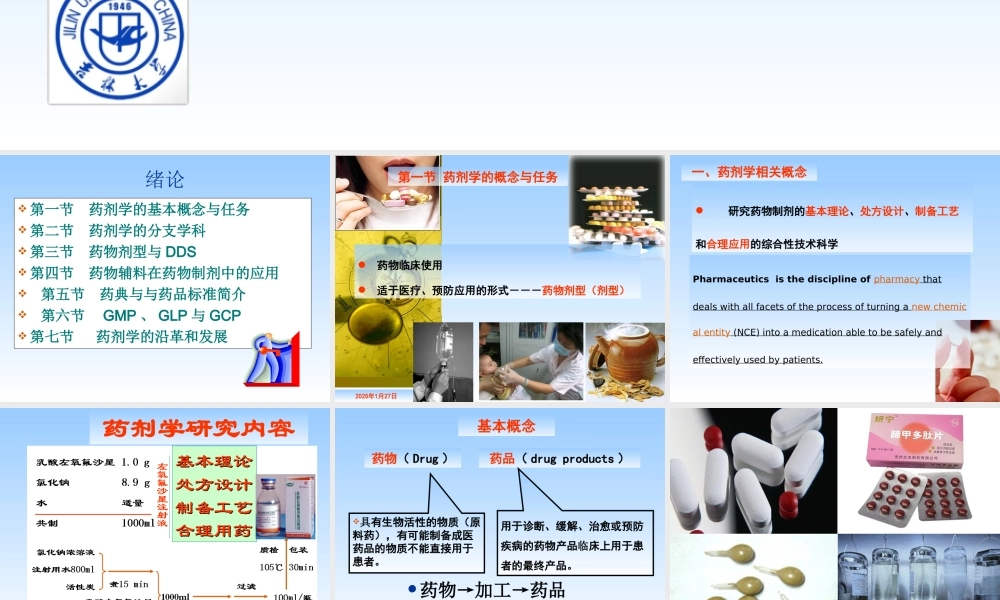 药剂1 第一章 绪论.ppt