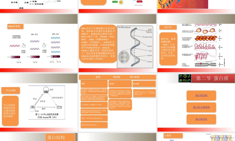 内部专业知识培训[公众微信号：bioworlde].ppt