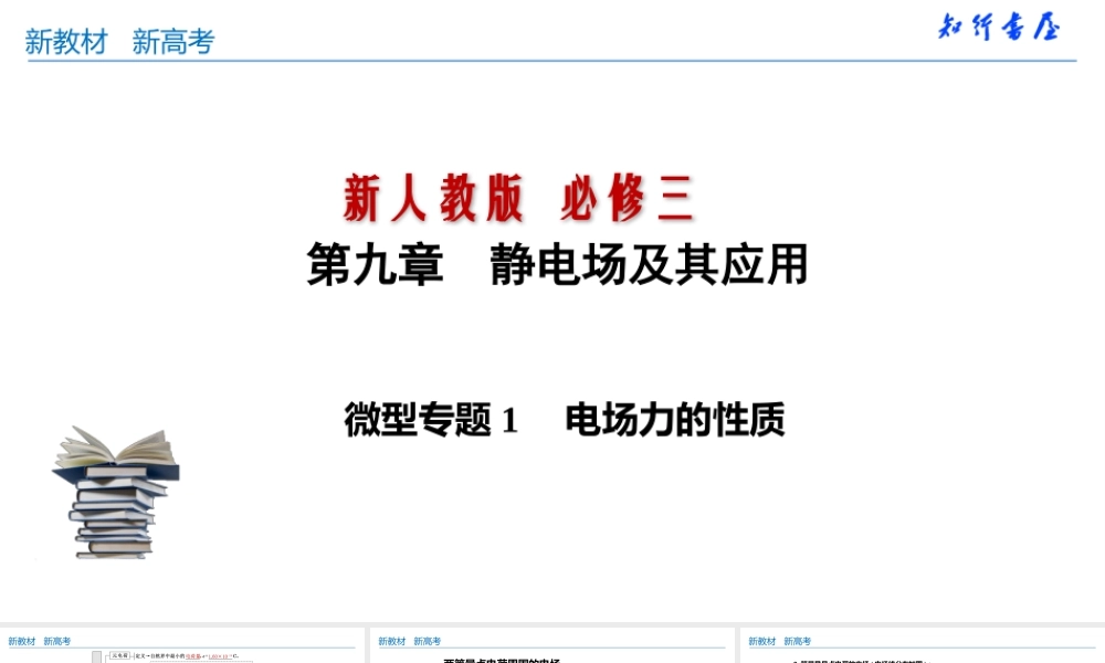 微型专题01 电场力的性质(共34张PPT).pptx