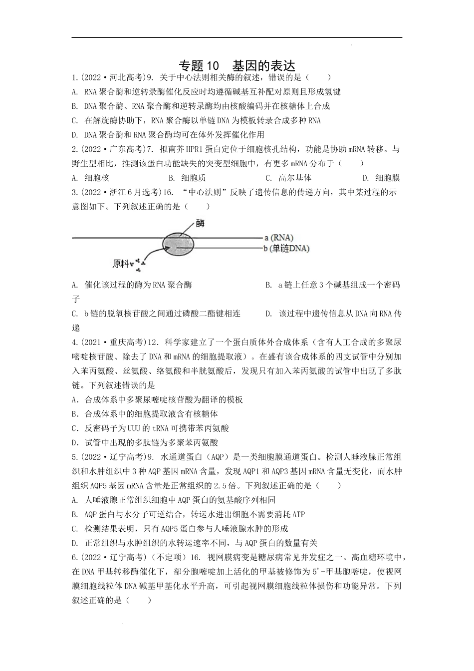 专题10基因的表达（原卷版） .docx_第1页