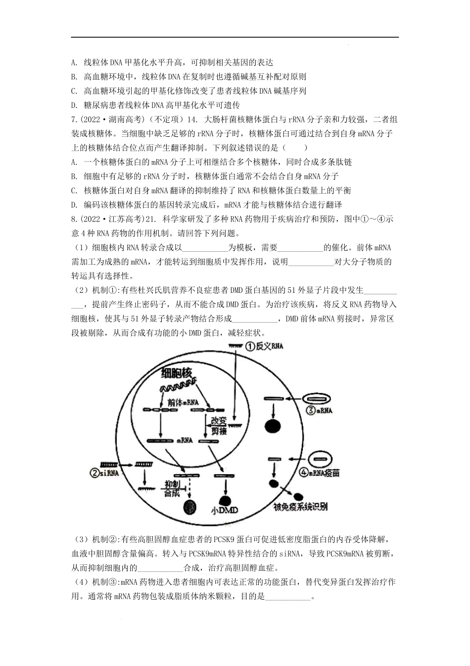 专题10基因的表达（原卷版） .docx_第2页