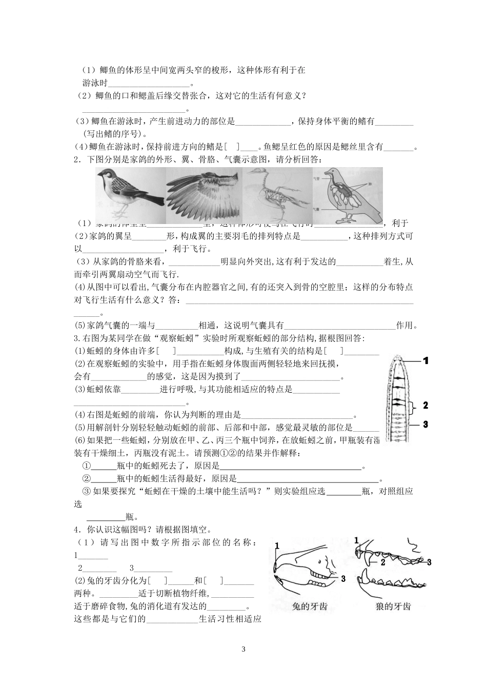 第1章各种环境中的动物.doc_第3页