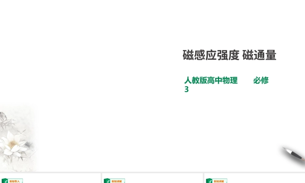 第13章第2节磁感应强度 磁通量课件(1).ppt