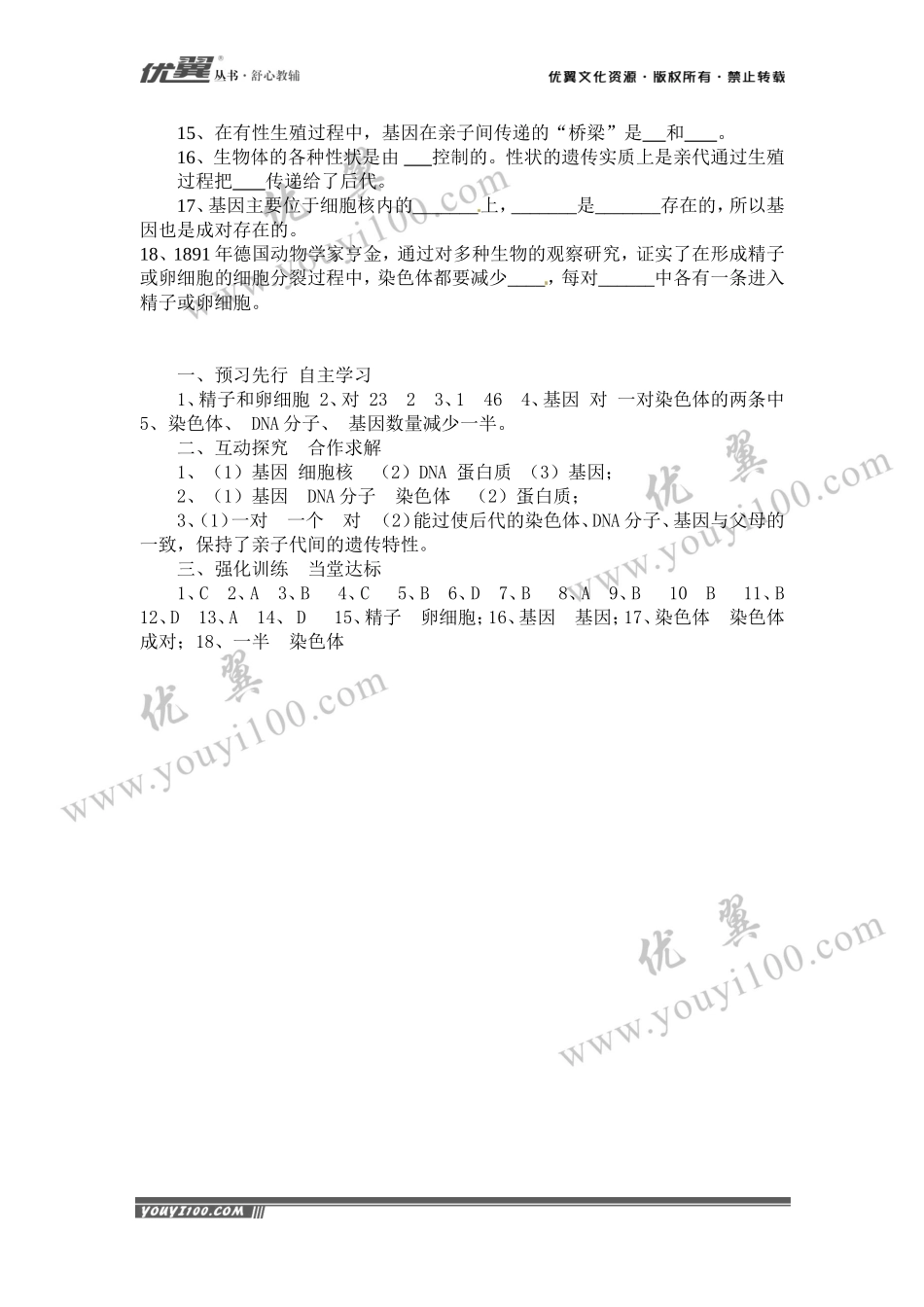 第二节基因在亲子代间的传递.doc_第3页