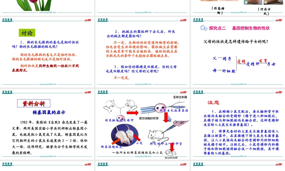 第一节 基因控制生物的性状.ppt