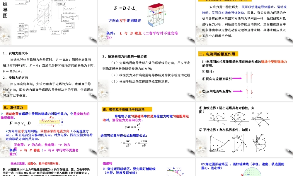 第一章 安培力与洛伦兹力复习.pptx