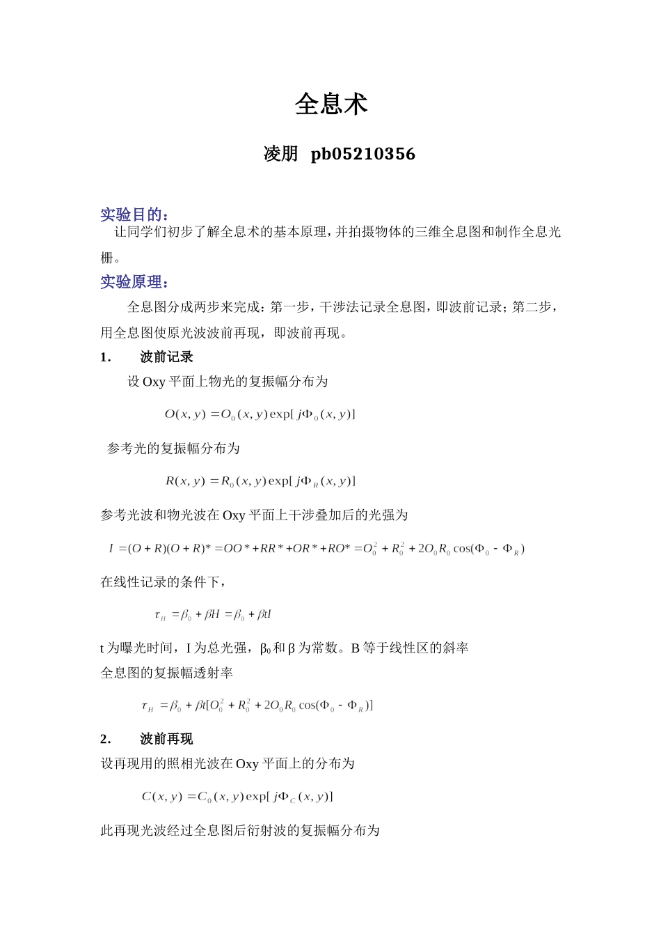 凌朋的全息术(1).doc_第1页
