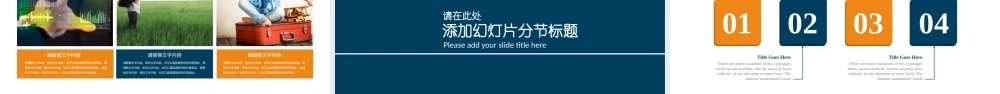 鹿大仙设计08.pptx