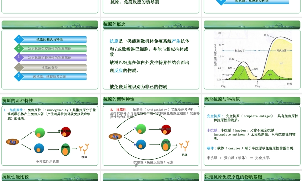 免疫课-抗原new.ppt