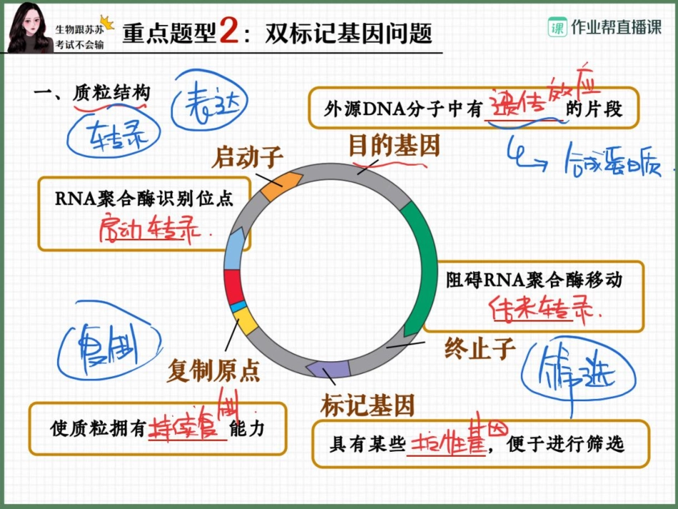 04.选修三重点题型精炼（二） .pdf_第3页