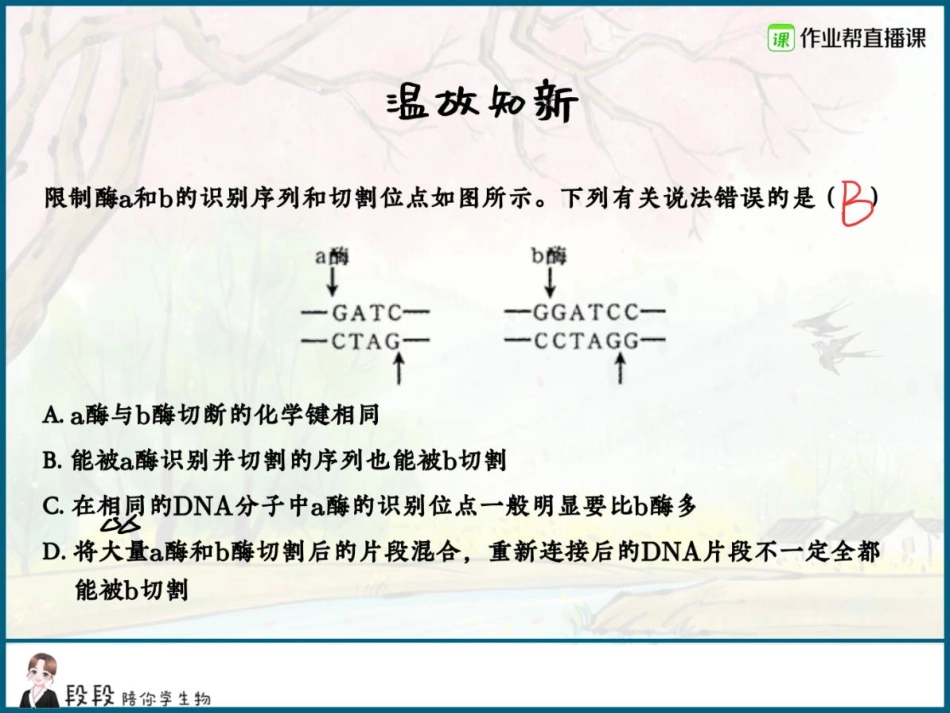 04.基因工程精讲精练（二） .pdf_第3页
