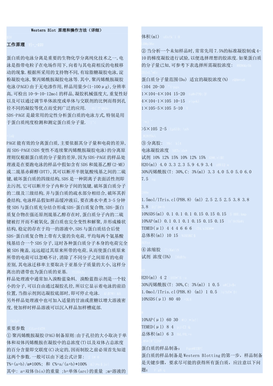 Western Blot原理详解.doc_第1页