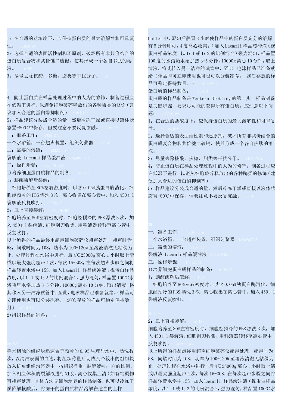 Western Blot原理详解.doc_第2页