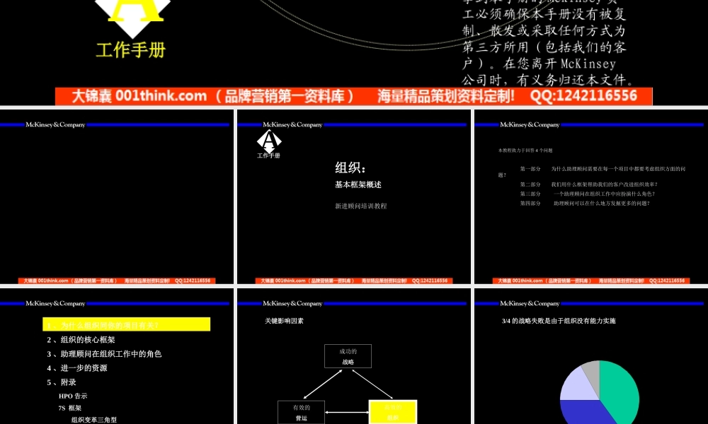 007麦肯锡_麦肯锡组织咨询手册.ppt