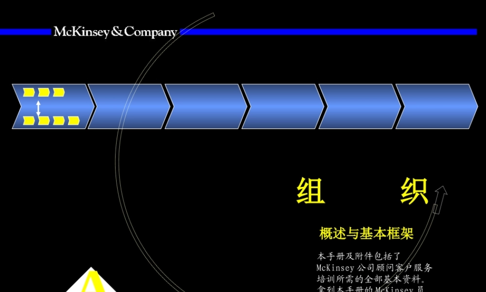 007麦肯锡—麦肯锡组织咨询手册.ppt