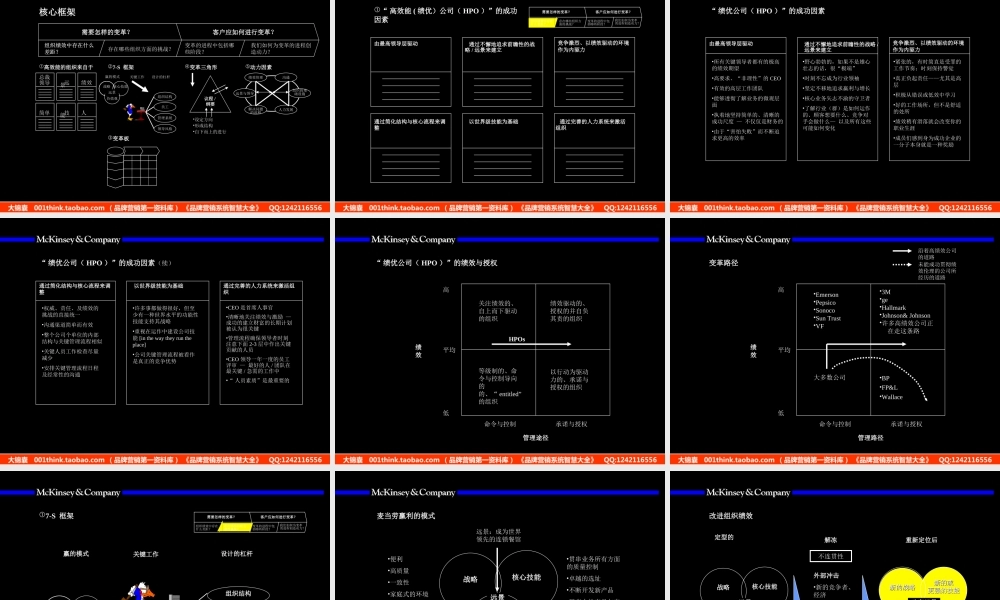 007麦肯锡—麦肯锡组织咨询手册.ppt