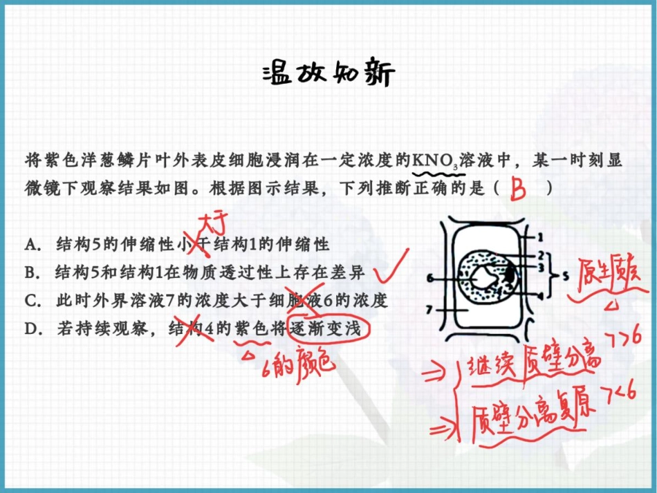 09.技巧判断物质出入细胞方式(1).pdf_第3页