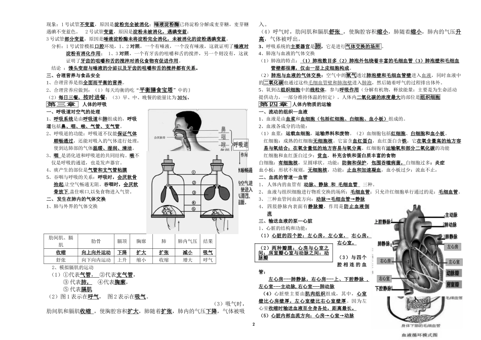 01.人教版生物七年级下册知识复习资料.doc_第2页
