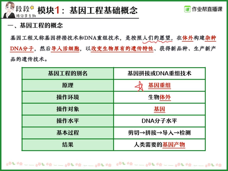 02.基因工程精讲精练（一） .pdf_第3页