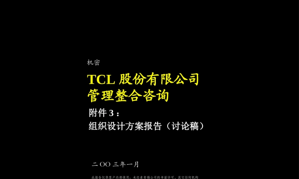 044麦肯锡-TCL股份组织结构设计方案.ppt