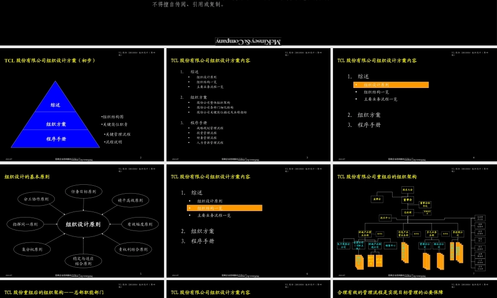 044麦肯锡-TCL股份组织结构设计方案.ppt