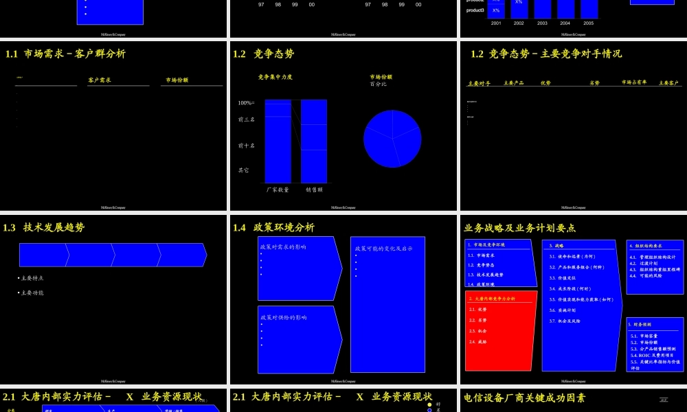 067麦肯锡--兴唐战略规划_附战略、财务规划模板.ppt