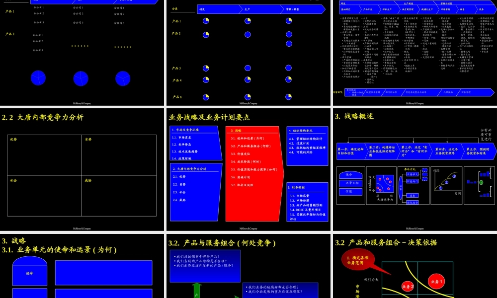 067麦肯锡--兴唐战略规划_附战略、财务规划模板.ppt