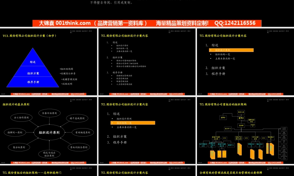 044麦肯锡-TCL股份组织结构设计方案(1).ppt