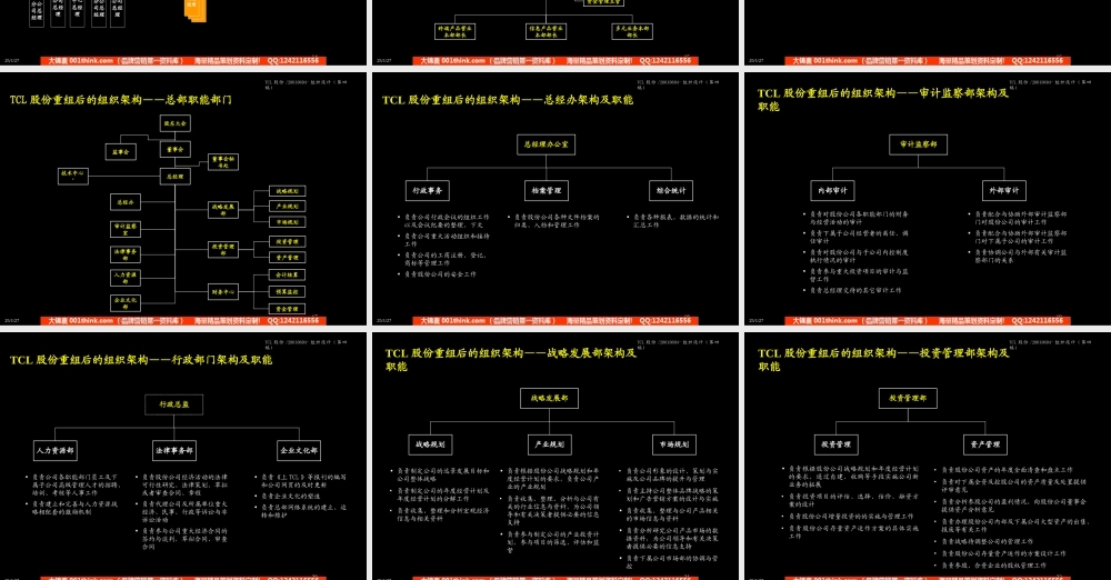 044麦肯锡-TCL股份组织结构设计方案(1).ppt
