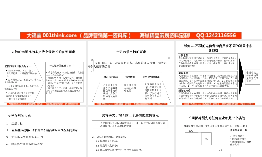 013麦肯锡-战略讲稿.ppt