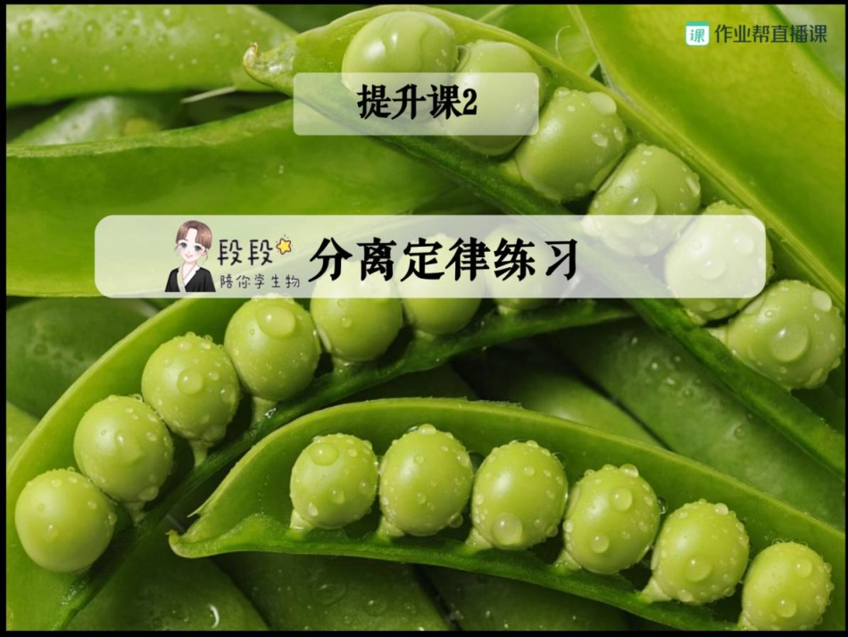 12.【赠】重点知识总结和题型精炼2 .pdf_第1页