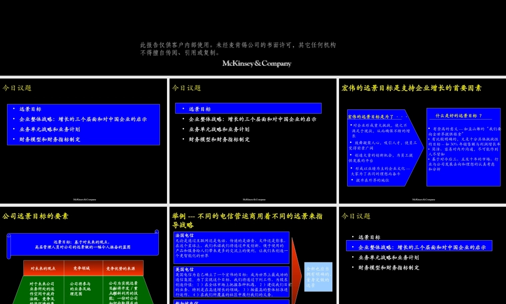 039麦肯锡—中国联通：开拓业务增长的战略.PPT